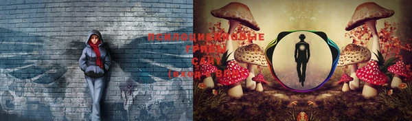 2c-b Богородицк